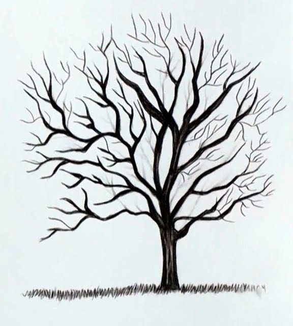 Bare tree silhouette with many branches against a white background; dark trunk and ground.