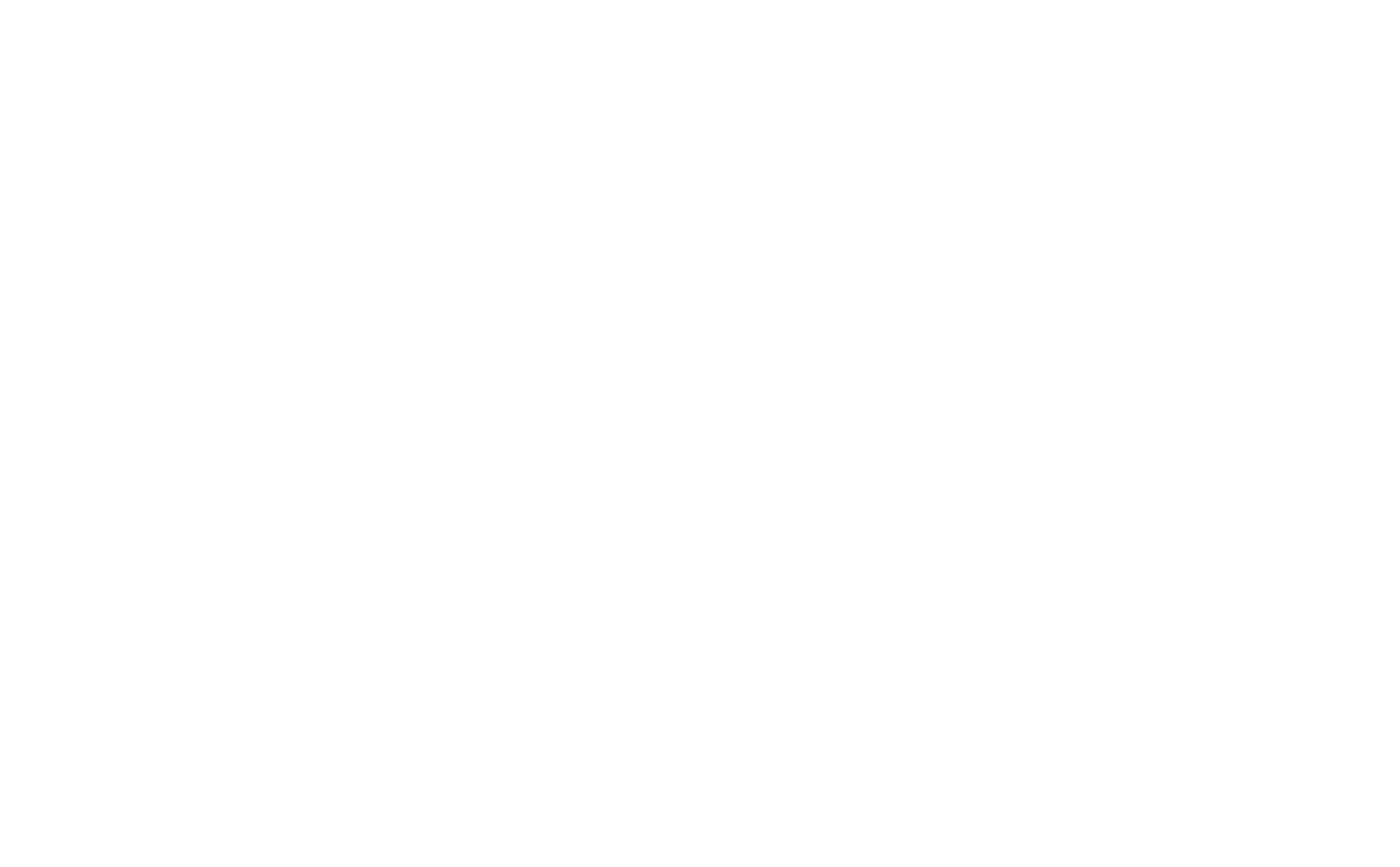 Patini logo