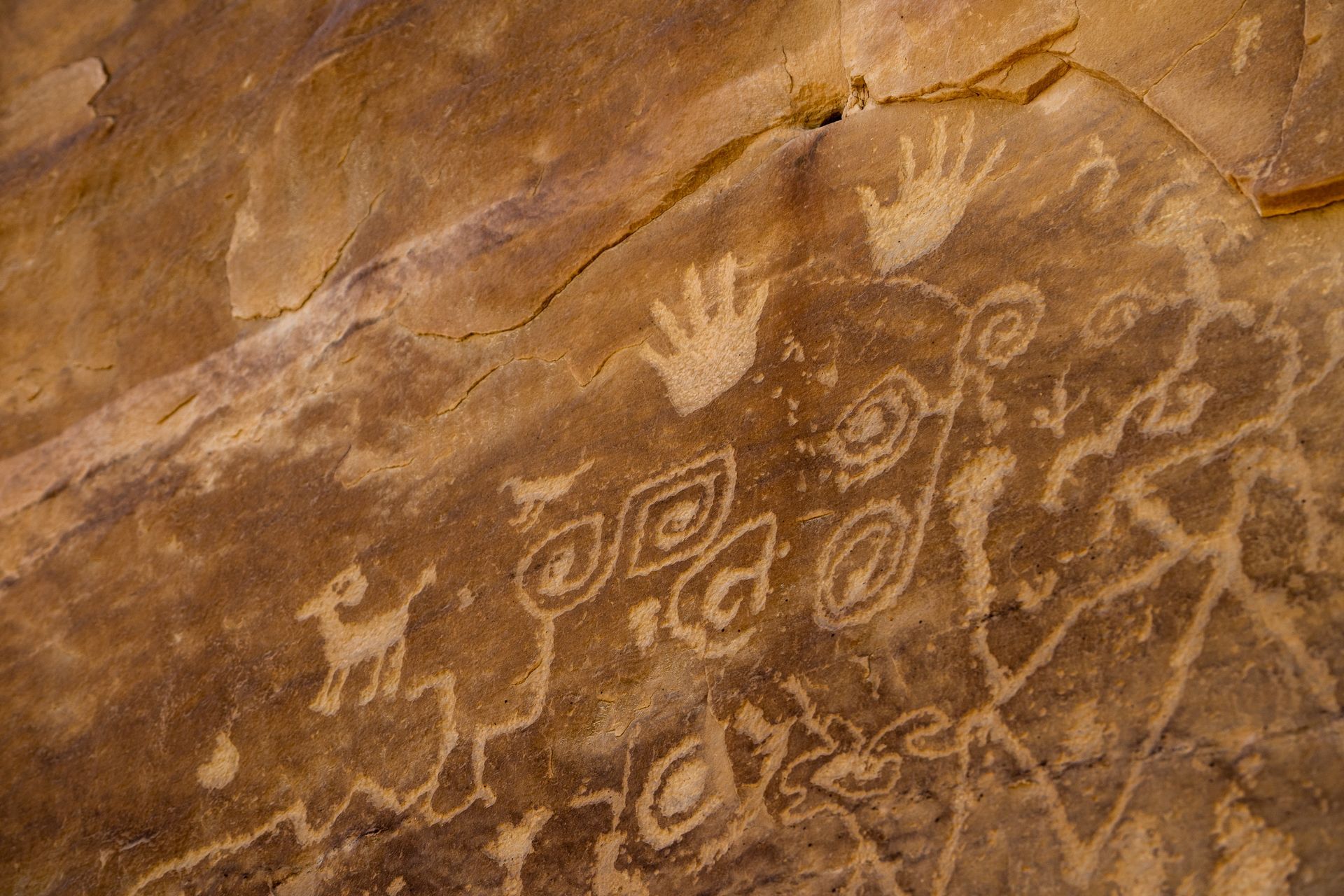 A close up of a rock with hand prints on it.