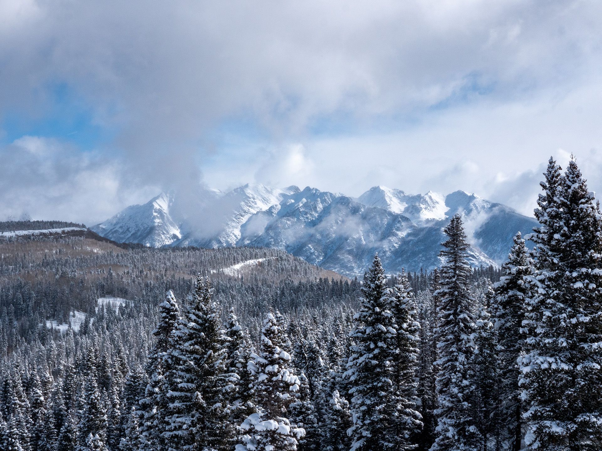A snowy forest with mountains in the background
