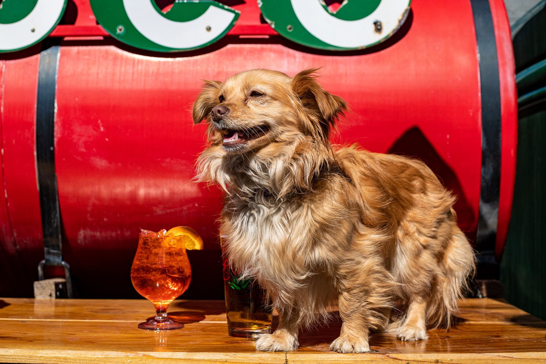 The Gable House is dog friendly and so are many local Durango establishments
