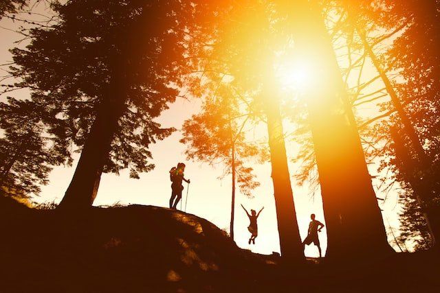 people-hiking-with-the-sun-coming-through-the-trees