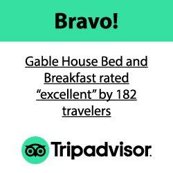 tripadvisor-excellent-review-count