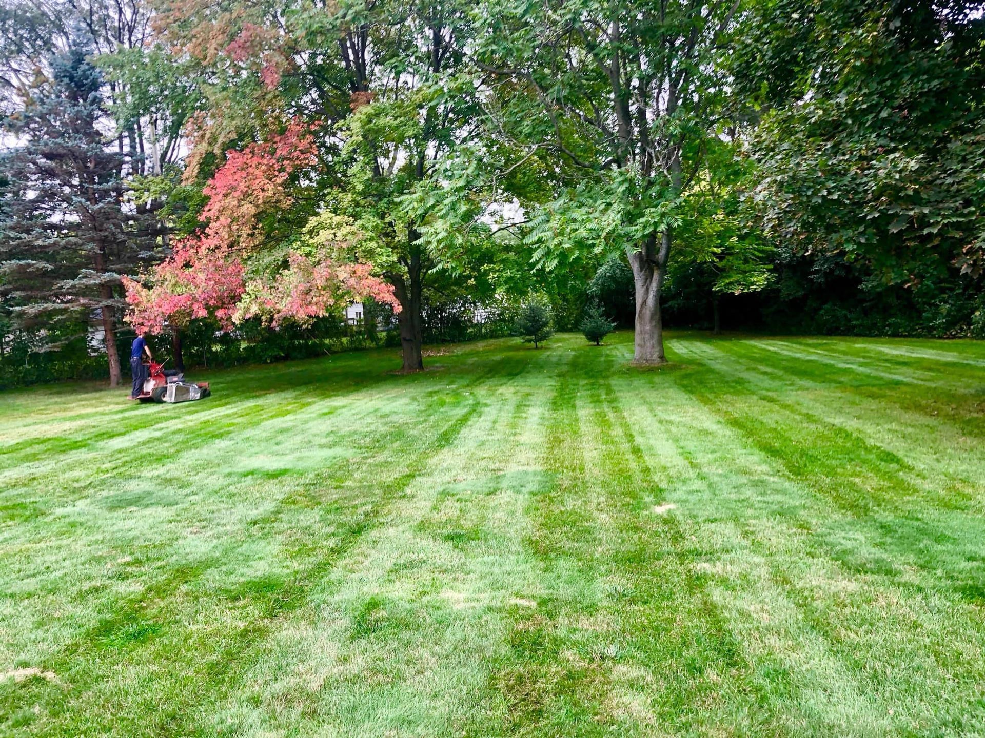 Property Maintenance Midland, MI All Seasons