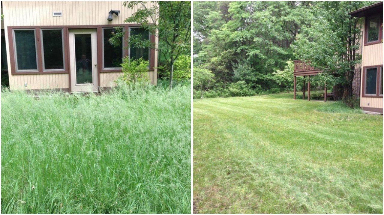 Lawn Care