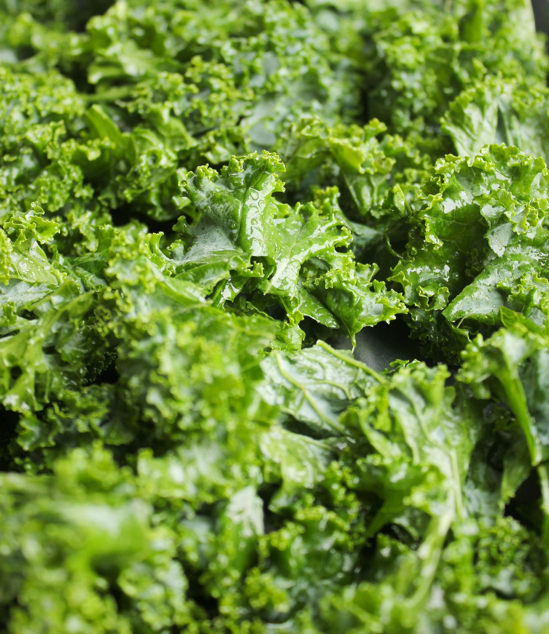 Kale
