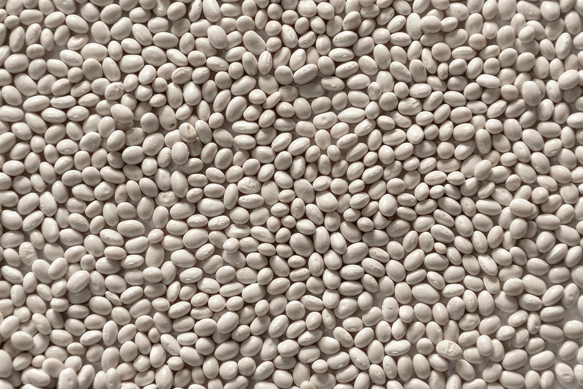 Lima Beans