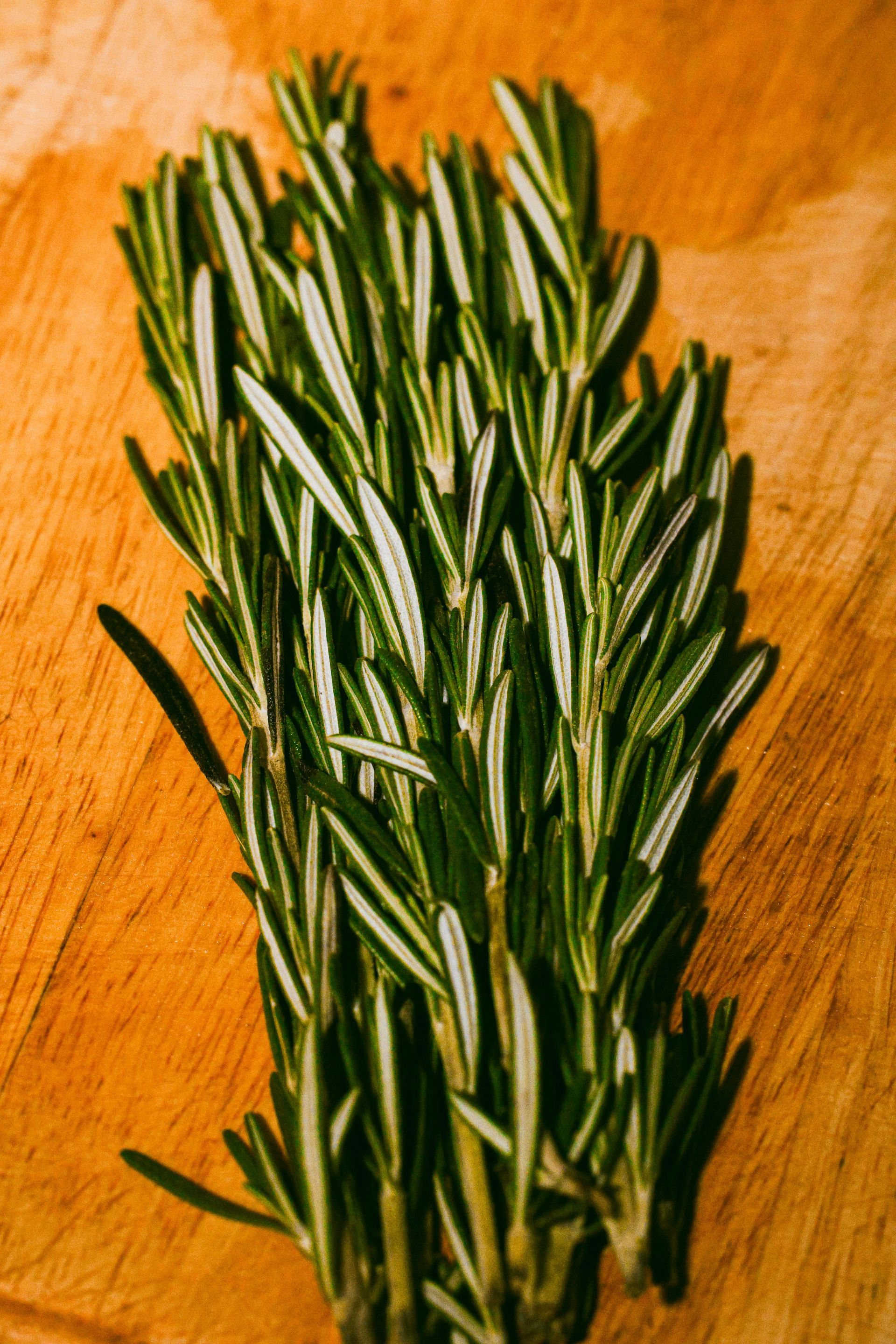 Rosemary