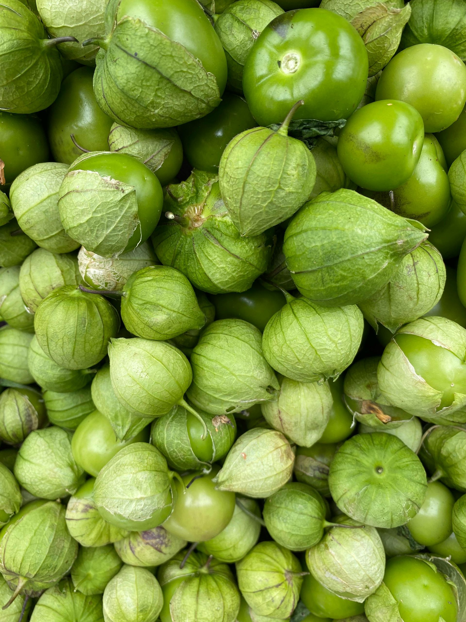 Tomatillo