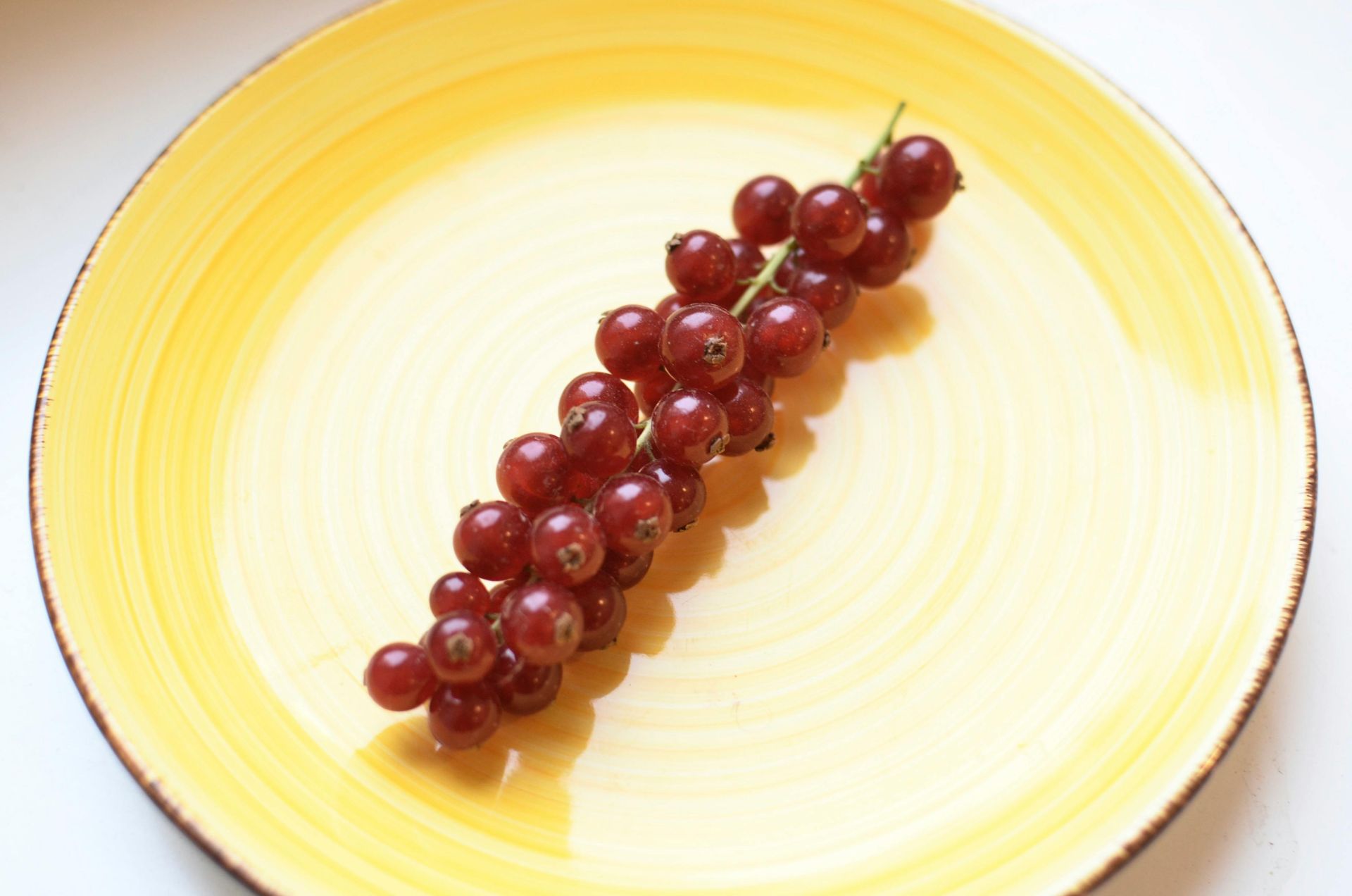 Currant
