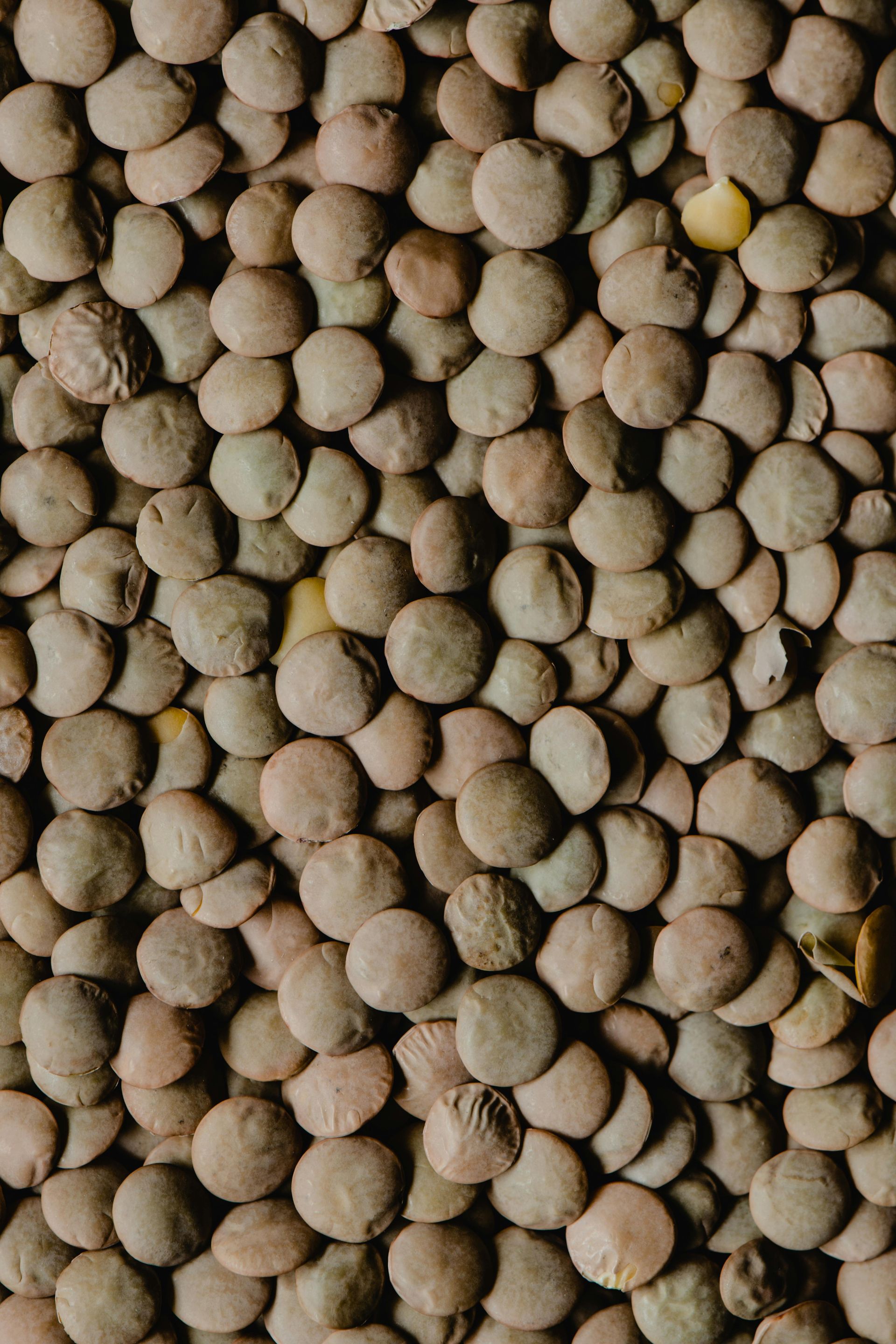 Lentils