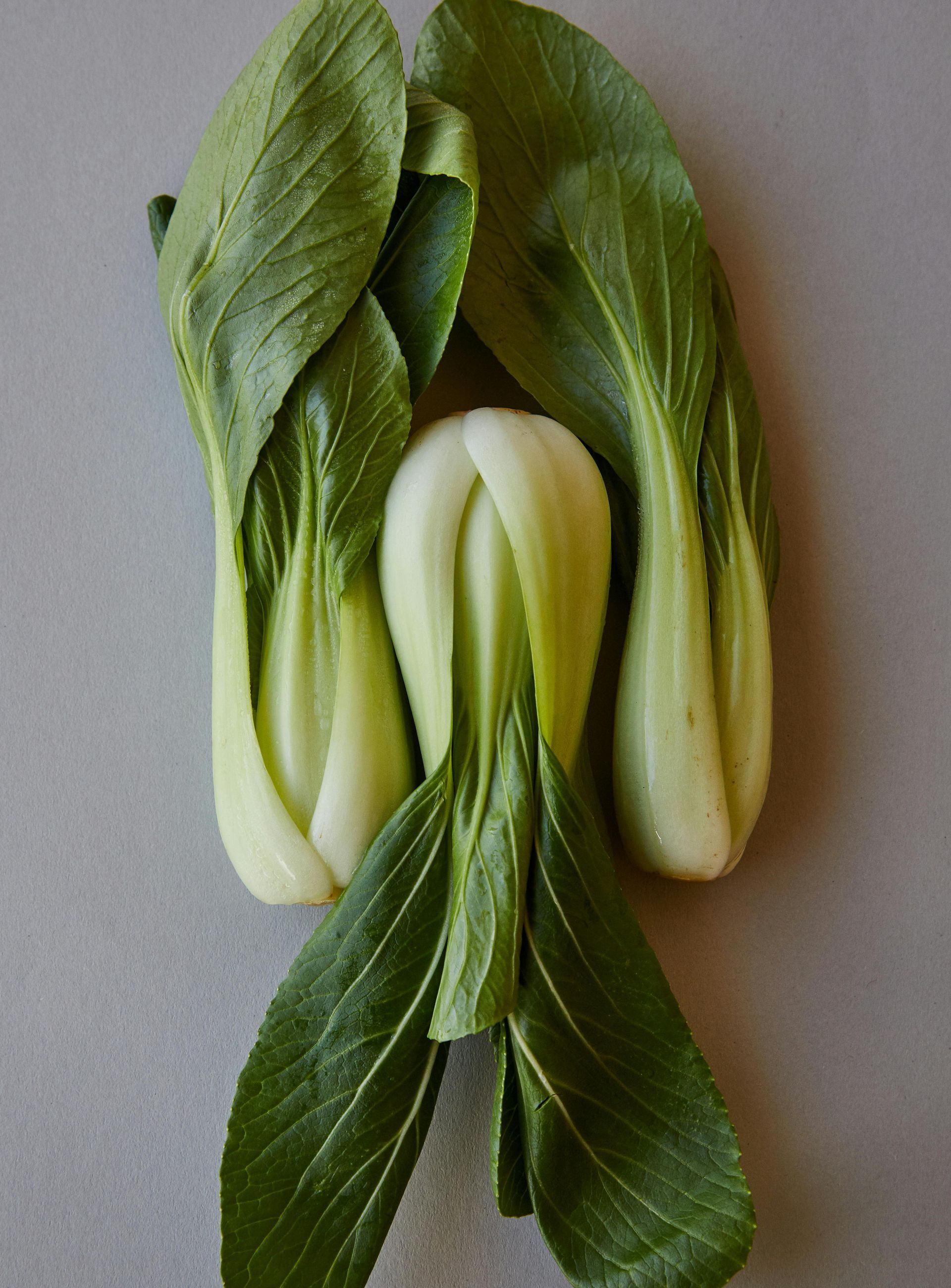 Bok Choy