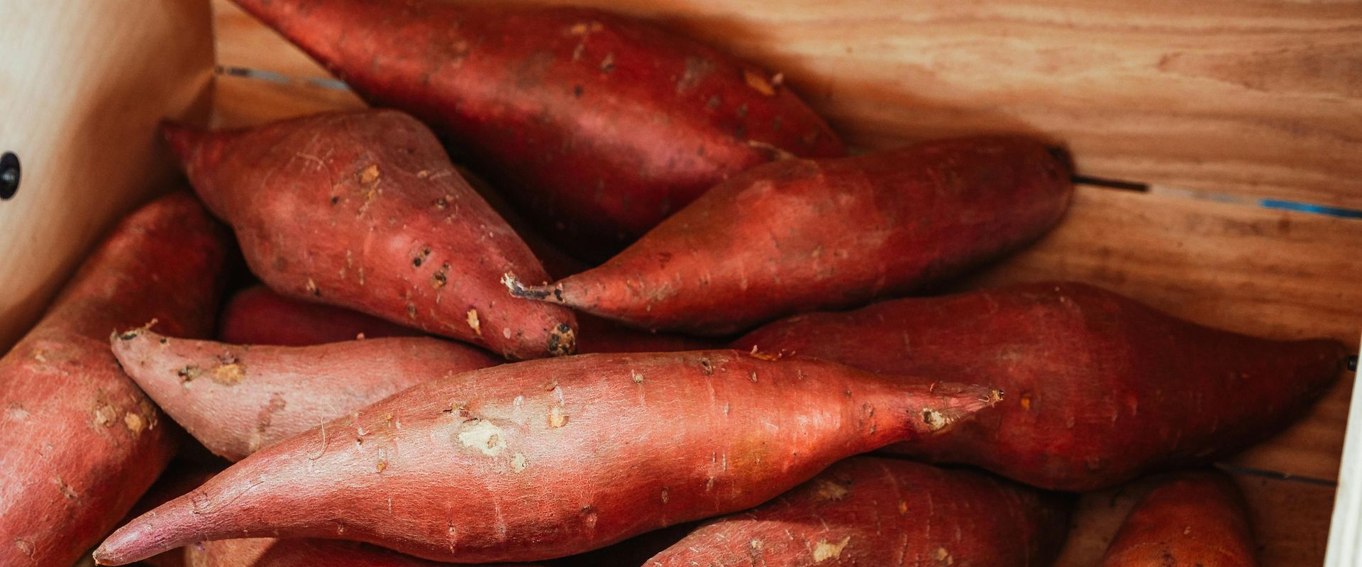Sweet Potato