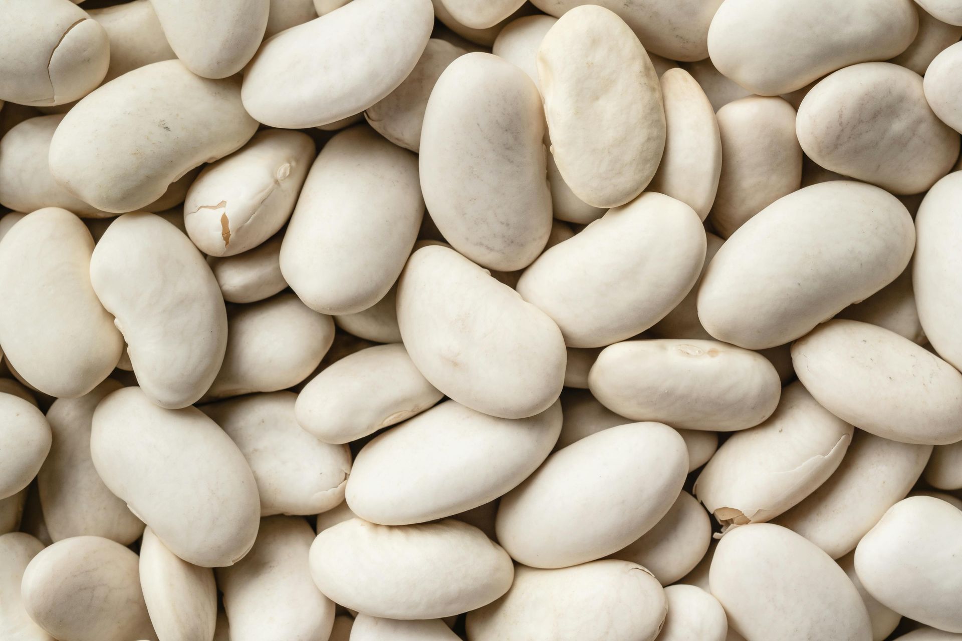 Cannellini Beans