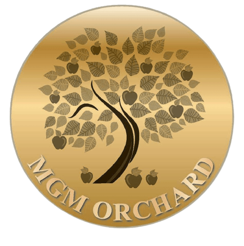 MGM Orchard MGM Orchard