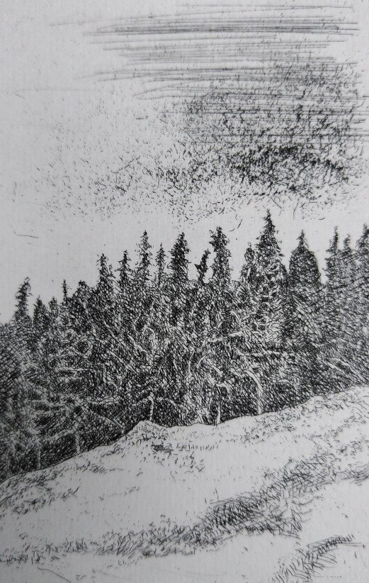 tannen montafon etching radierung box serie sanüel