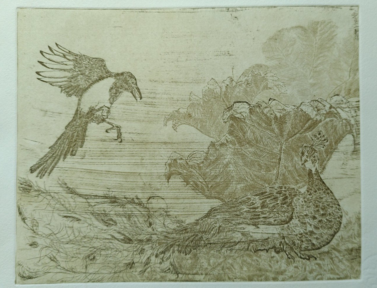 magpie peacock etching mammout plant