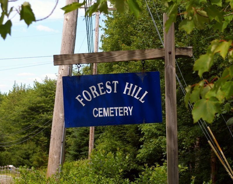 Blue “Forest Hill Cemetery” sign on a wooden post amid green trees and utility poles.