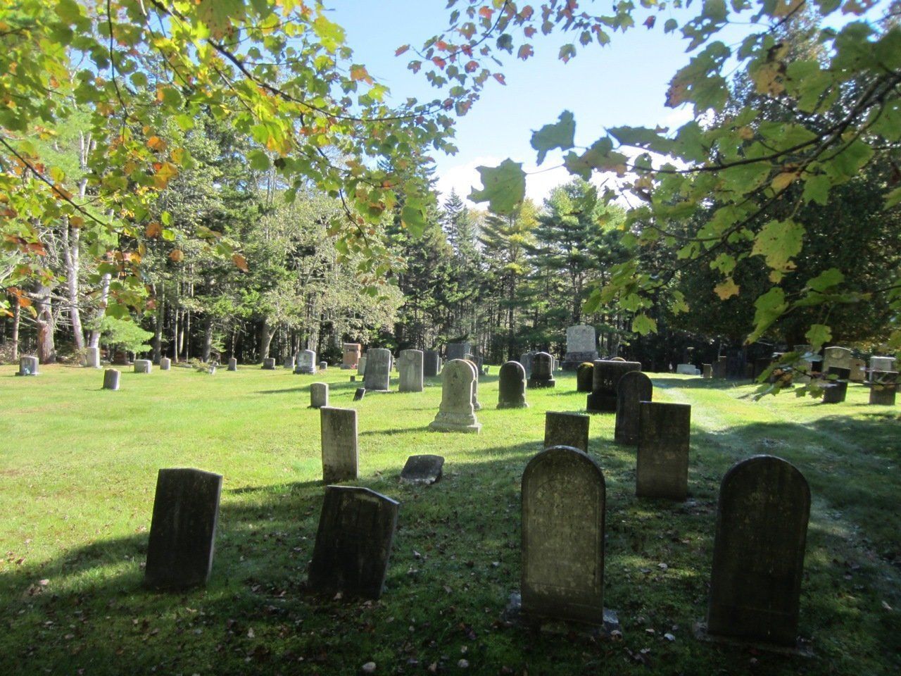 Gravestones in a sunlit cemetery surrounded by green trees and grass