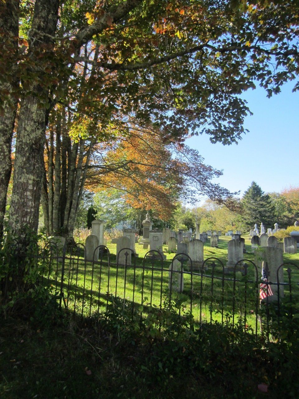 Sunlit cemetery with rows of headstones behind a black iron fence and autumn trees.