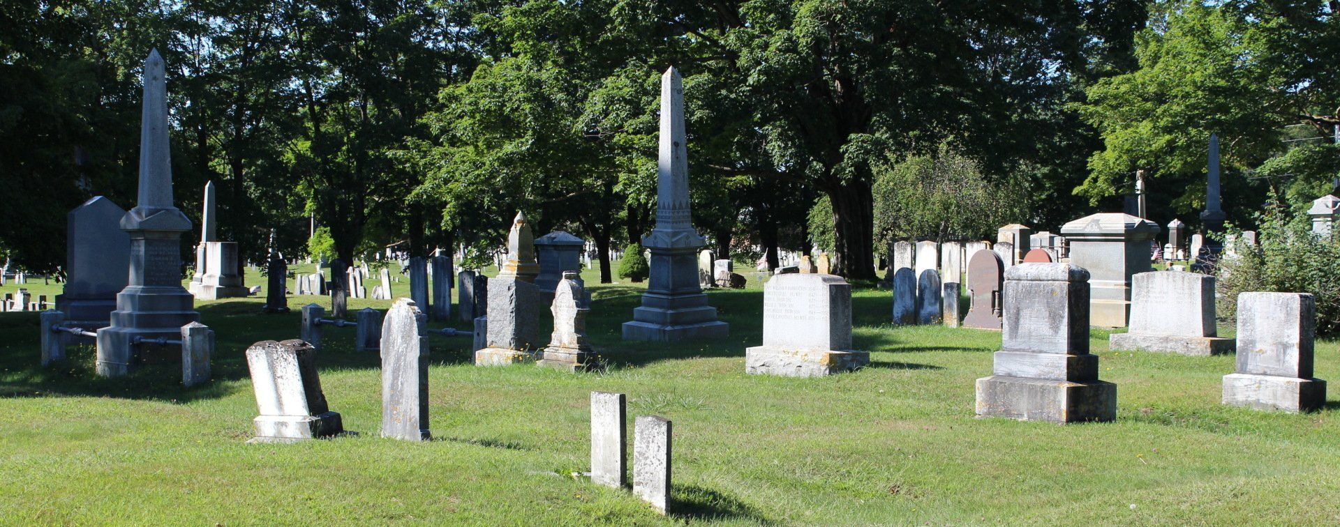 Grassy cemetery with rows of gravestones and tall trees in daylight