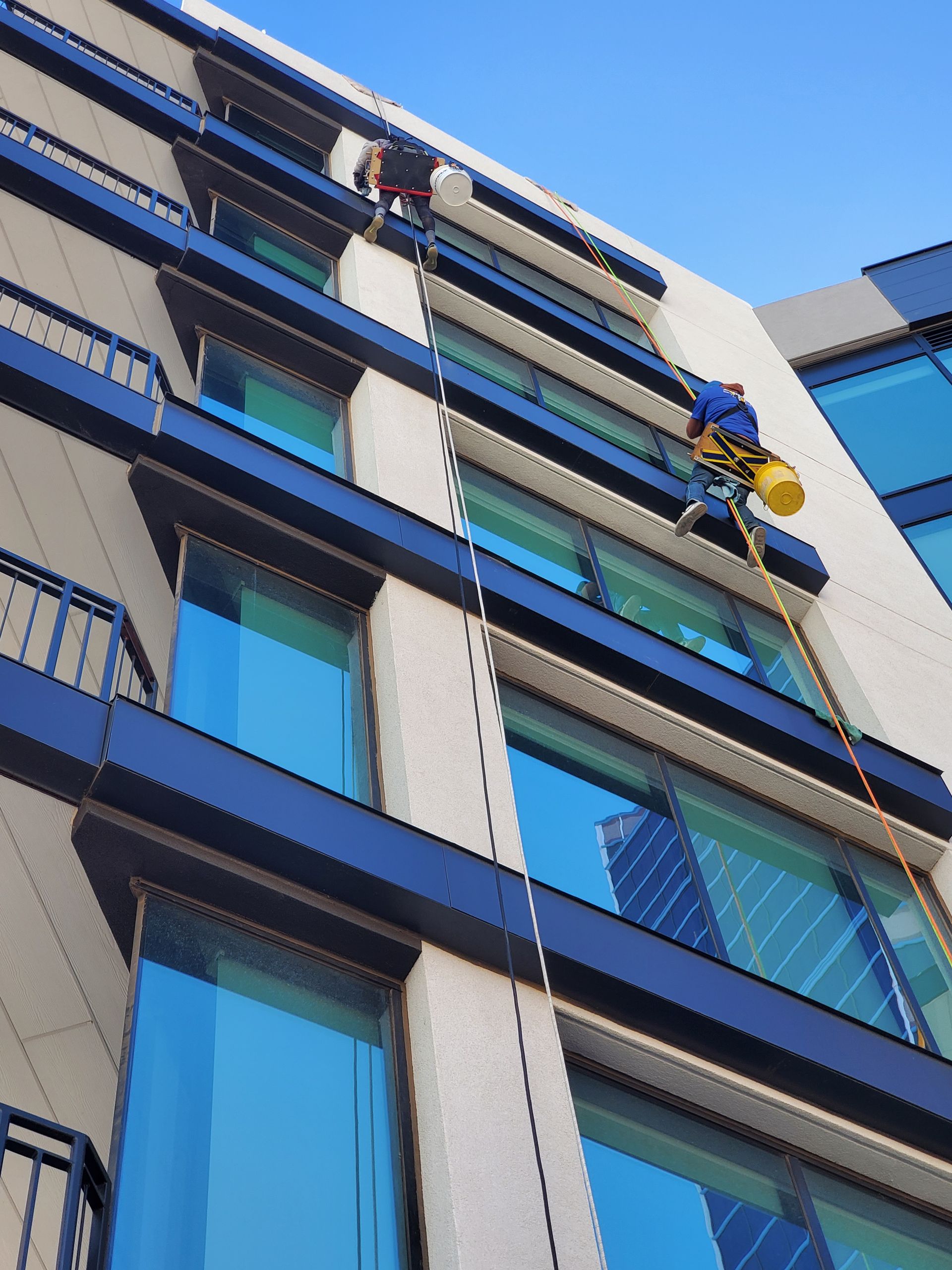 Workers rappelling down a tall building facade for window cleaning