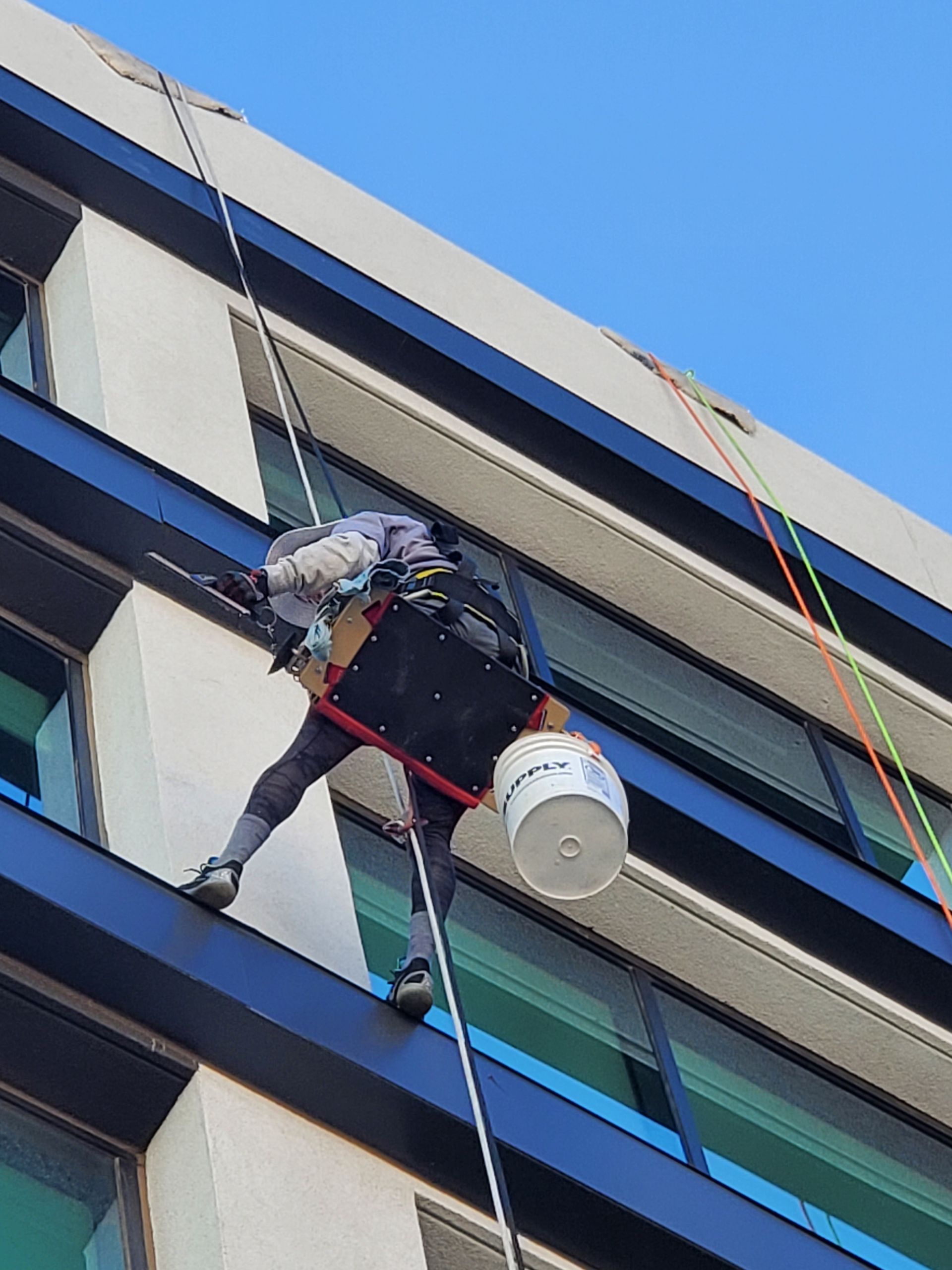 Window cleaner suspended on ropes cleaning the exterior of a tall building