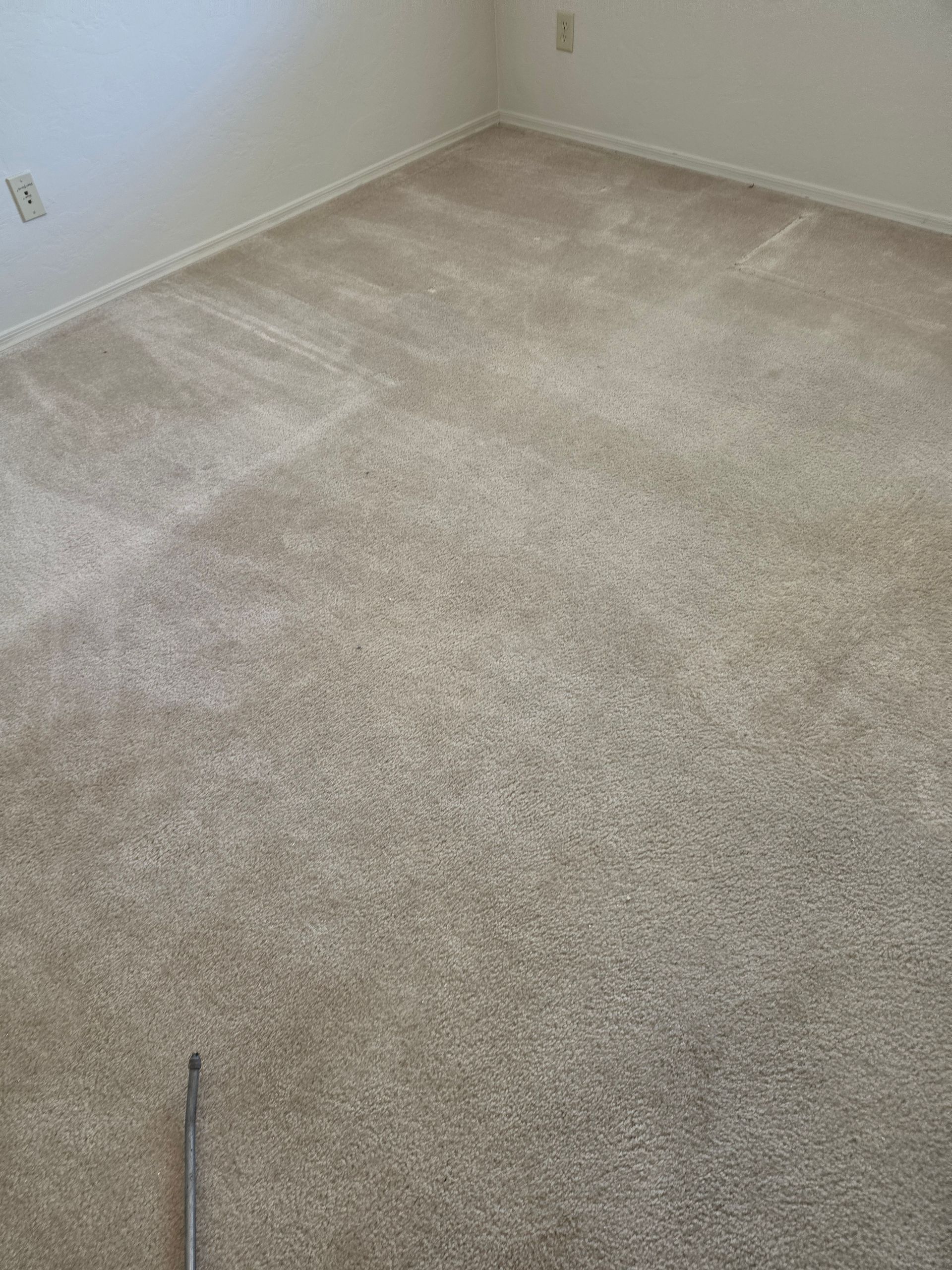 Empty beige carpeted room corner with white walls and a visible electrical outlet.