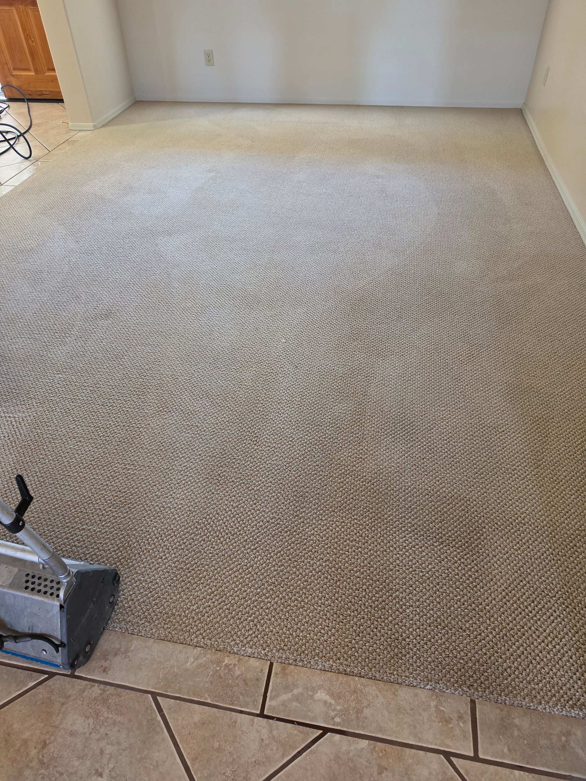 Carpet being cleaned with a floor machine, showing circular vacuum marks on beige flooring.