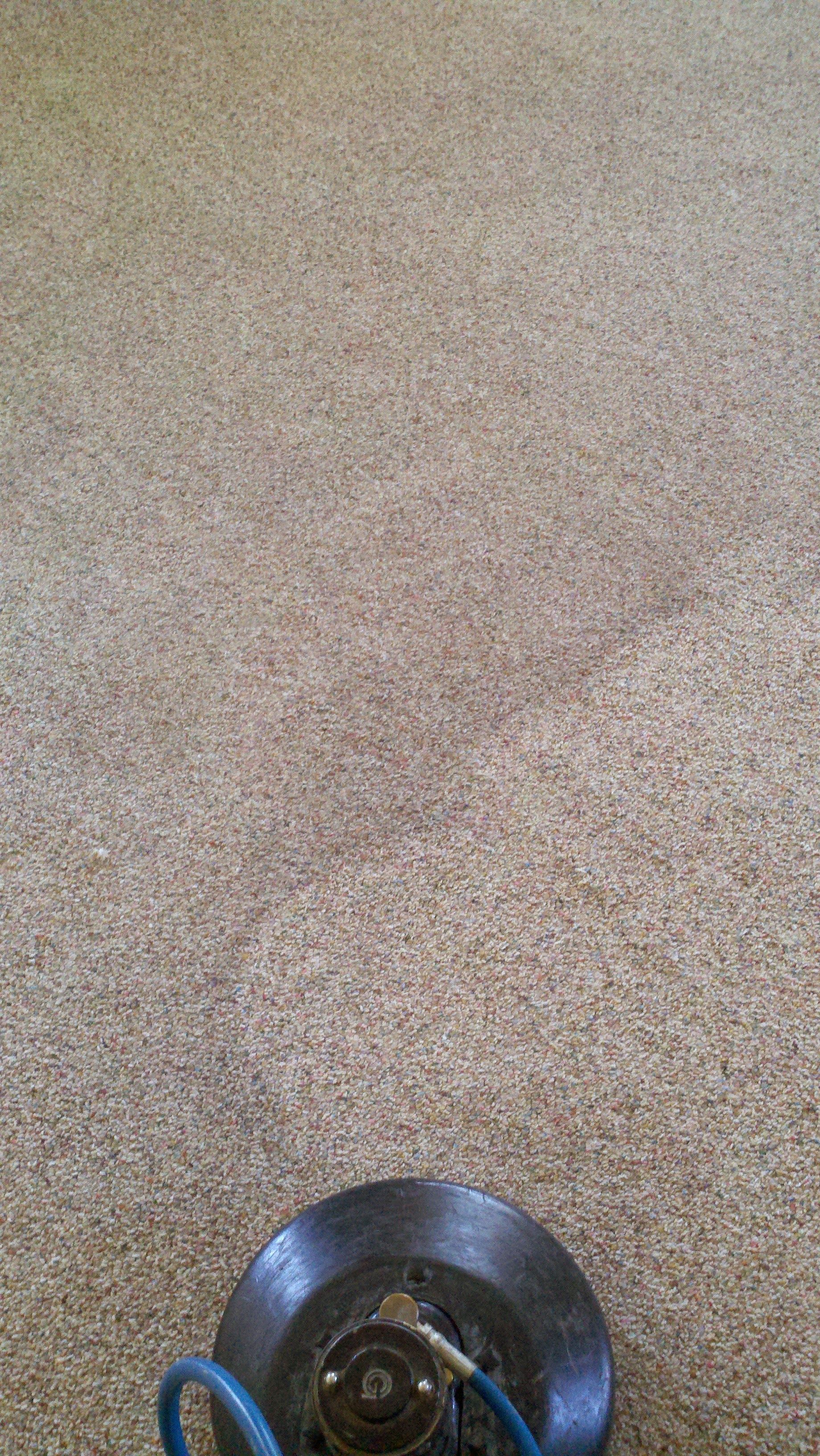 Close-up of beige textured carpet with the top of a metal floor drain visible at the bottom edge