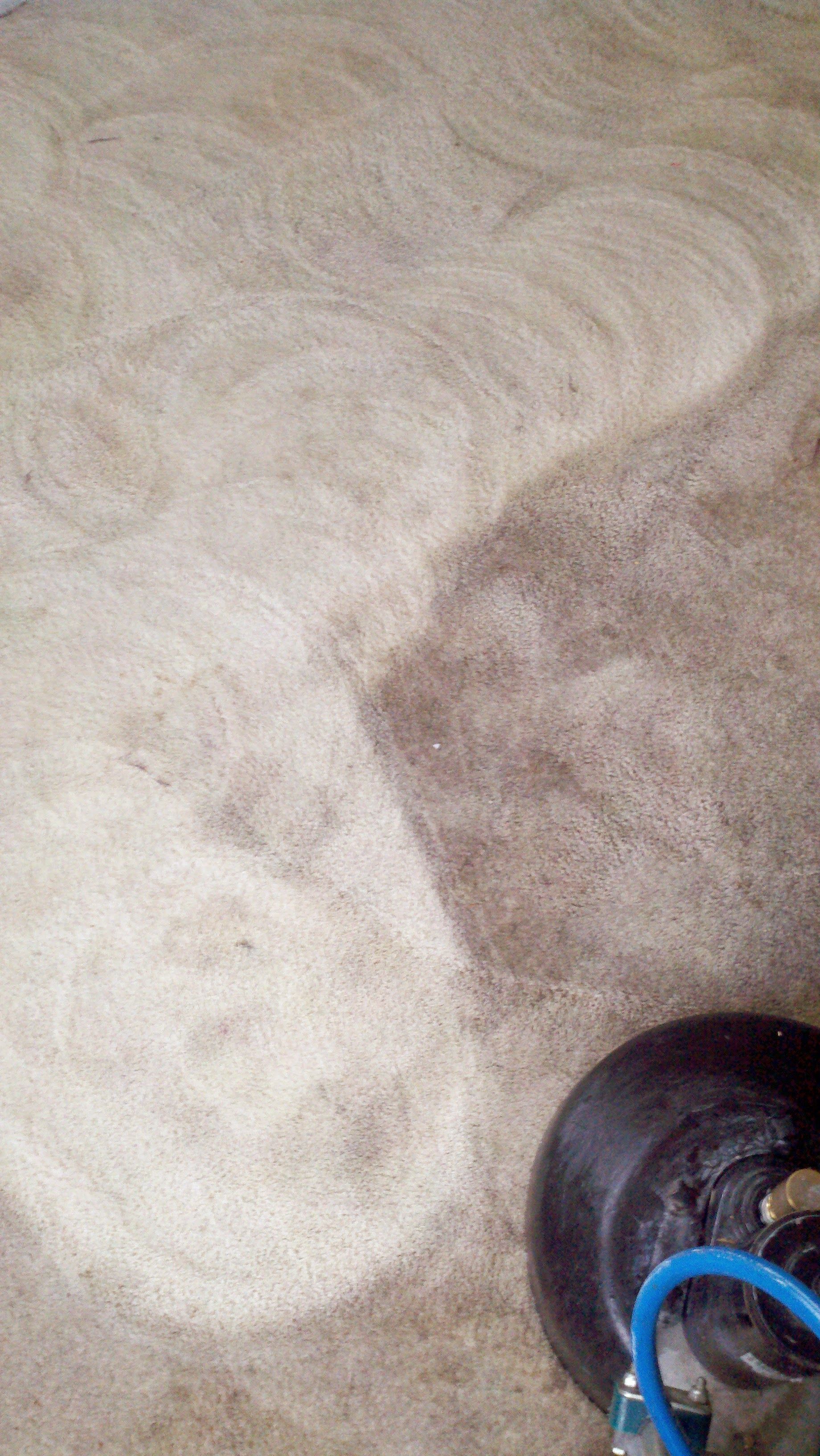 Close-up of beige carpet with a darker worn patch and a small black wheel with blue cord in the corner