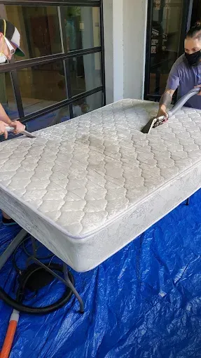 Hand vacuum cleaning blue sofa upholstery near a light wood floor