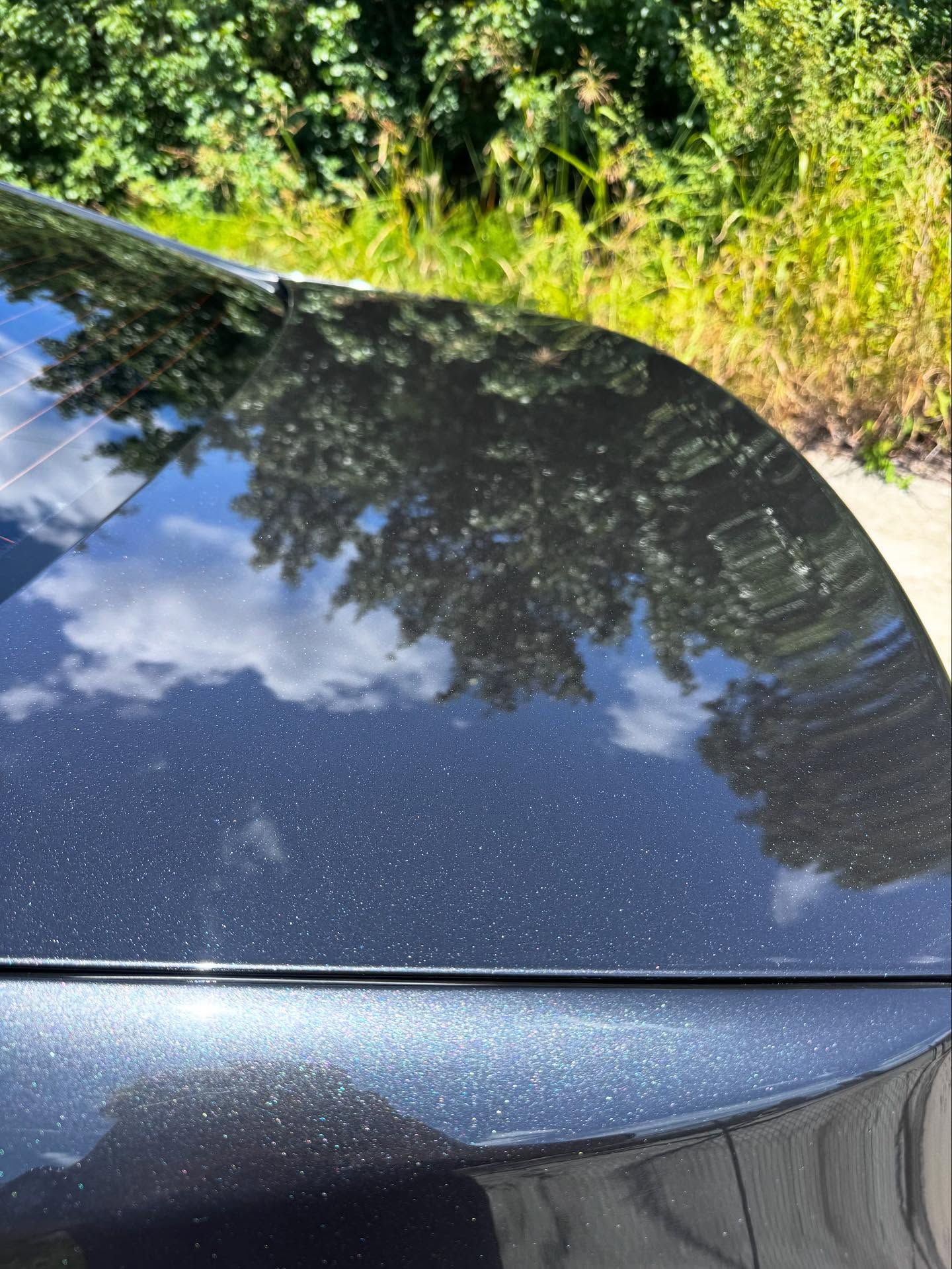 A close up of the hood of a black car with trees reflected in it.