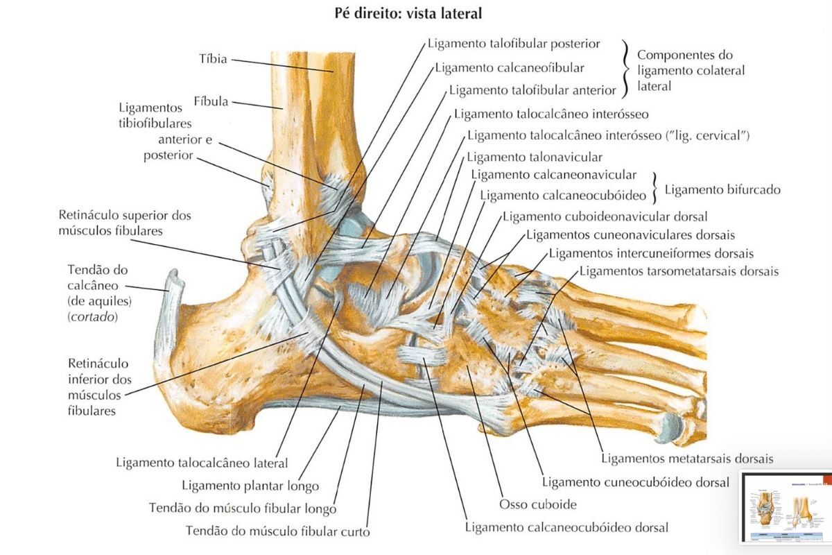 estrutura-pe-dr-ivan-giarola-ortopedista-cirurgia-pe-sao-paulo