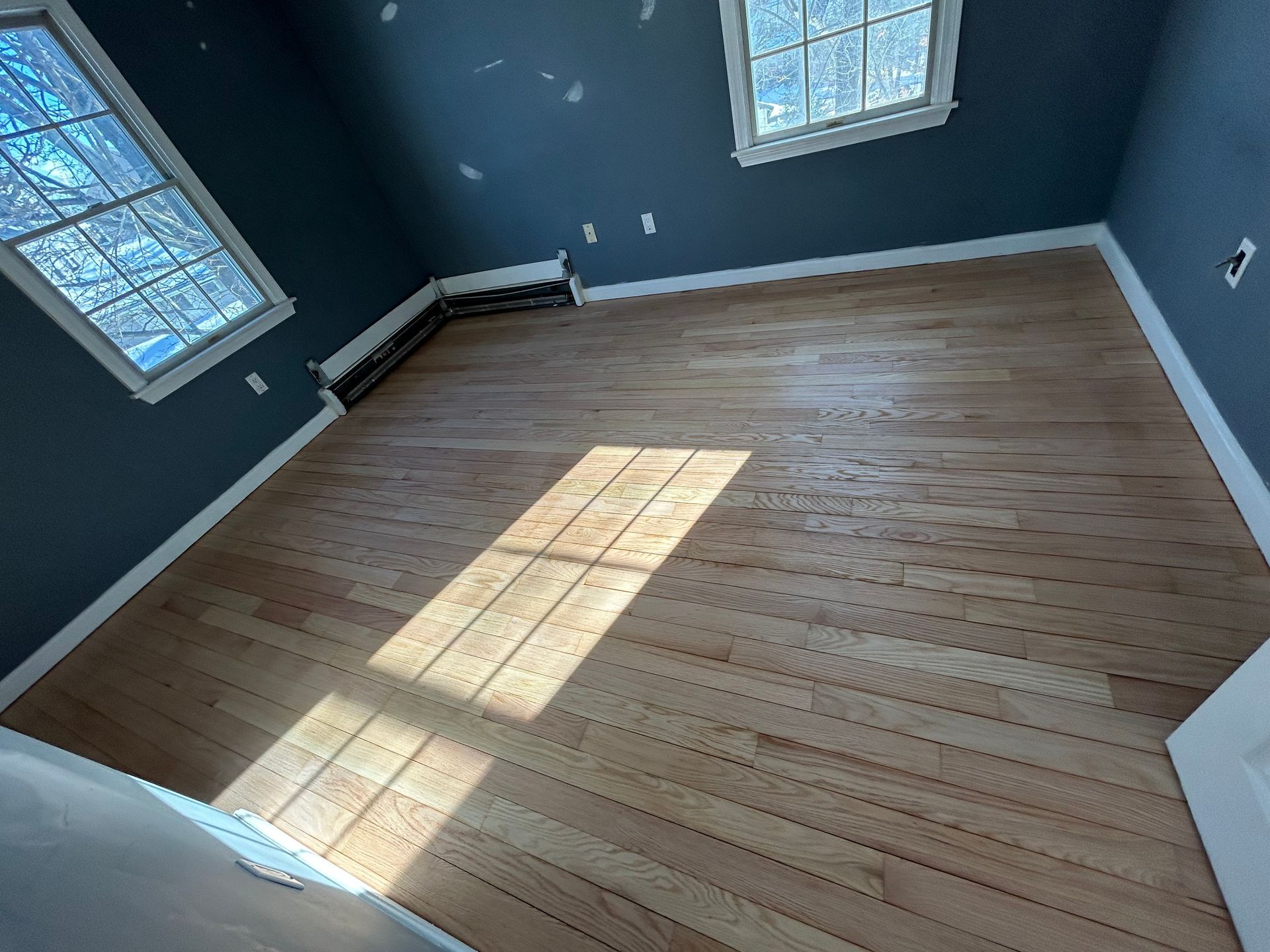 Empty room with dark blue walls, light wood floor, and sunlight streaming through windows.