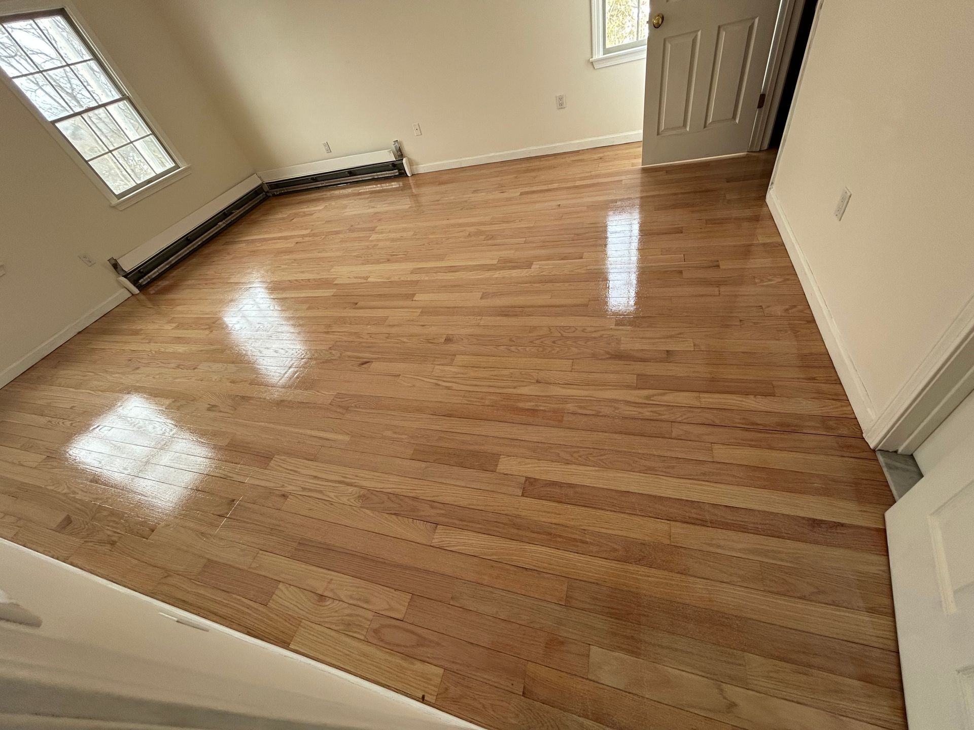 Empty hardwood-floored room with beige walls, two windows, and a closed door