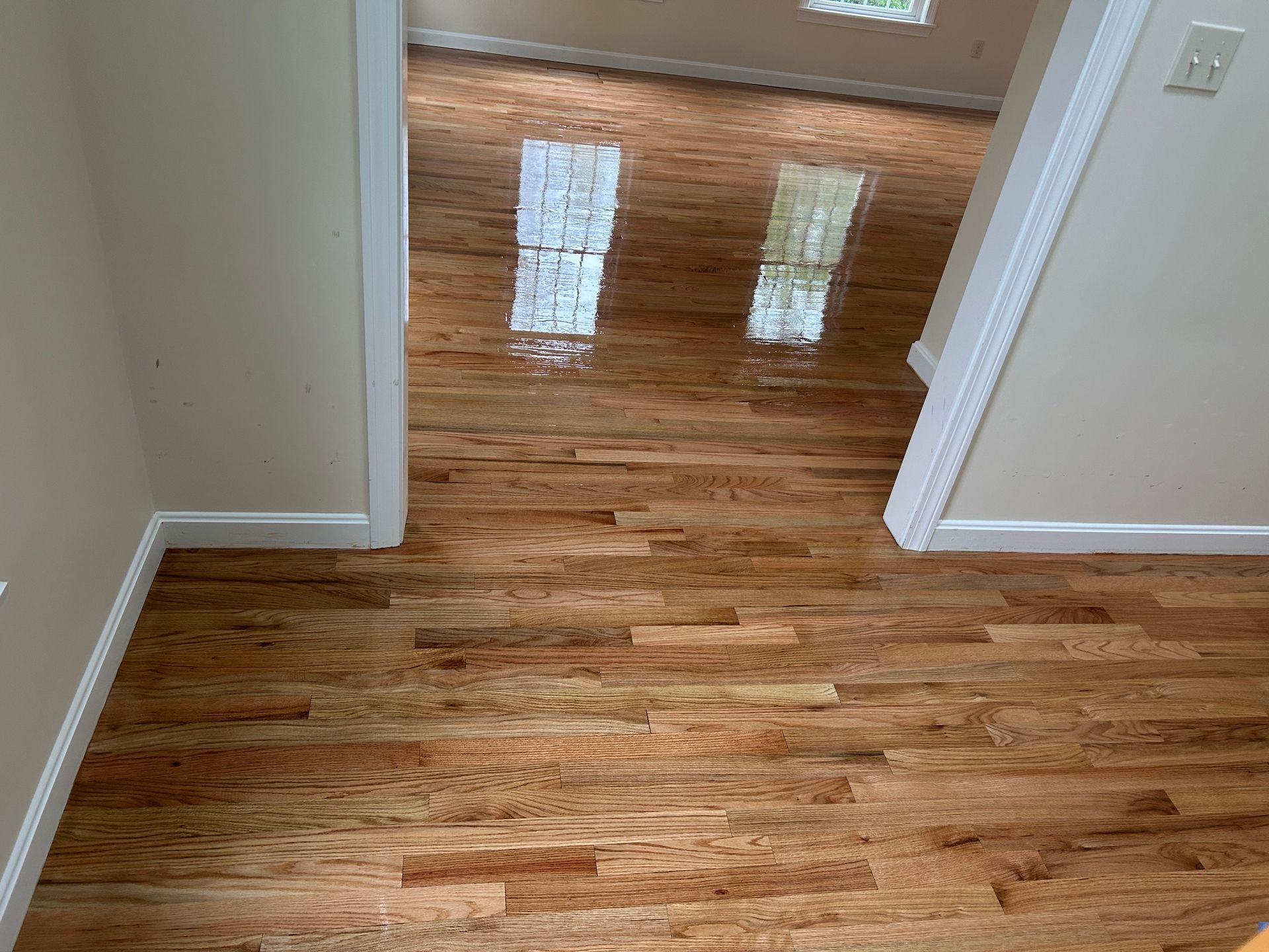 Empty hardwood hallway with reflections from two windows and white walls