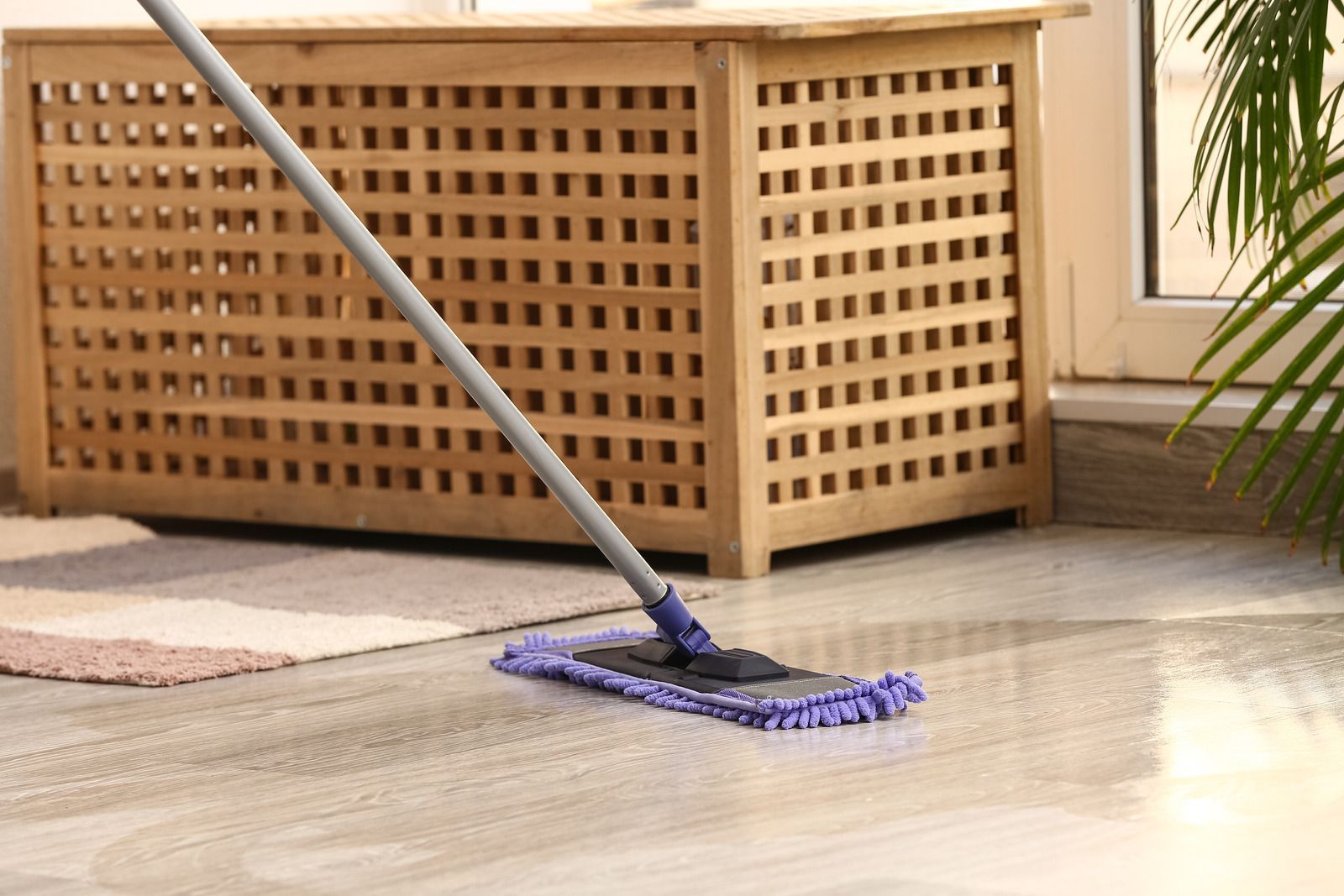 Mop on wet floor beside a wicker planter box and potted plant indoors