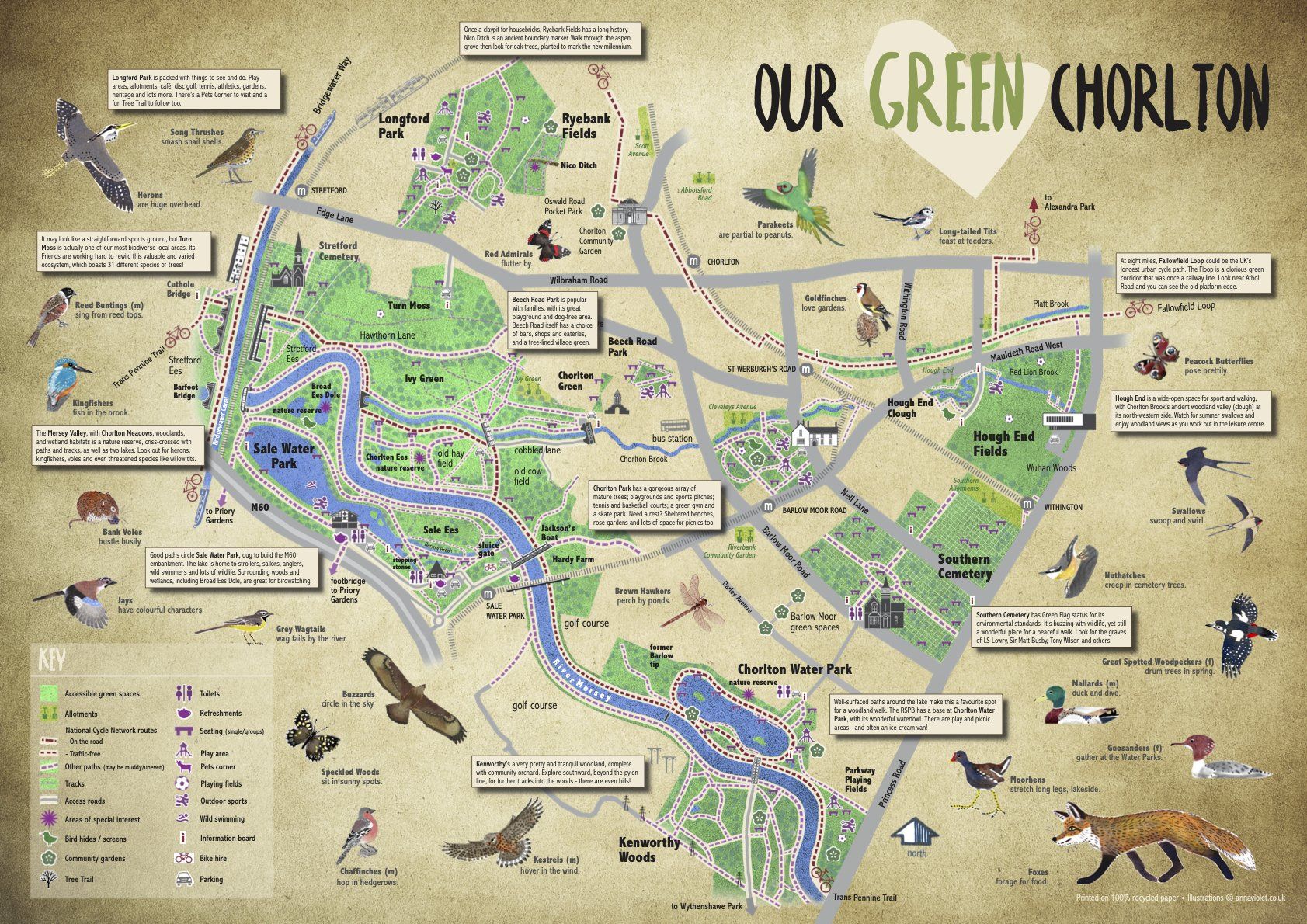 chorlton park, chorlton ees, longford park, sale water park, chorlton water park, hough end clough, anna violet illustrator,