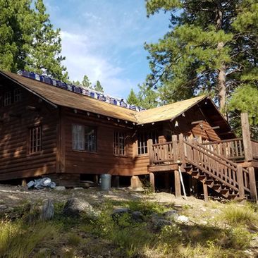 Wooden cabin in a forest clearing with a steep roof, porch, and stairs under tall pine trees