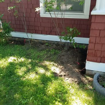 Red house siding with a small tree and patchy grass beside a window and stone planter.