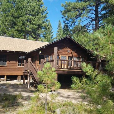 Wooden cabin with a deck nestled among pine trees in a sunny forest clearing