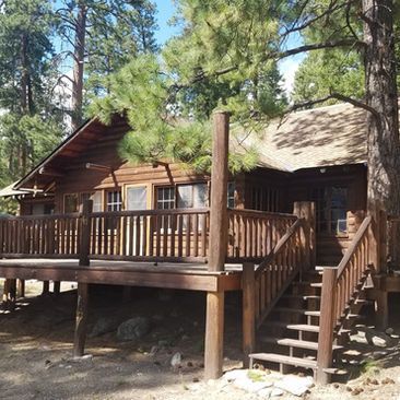 Wooden cabin with front porch and stairs among tall pine trees in a forest.
