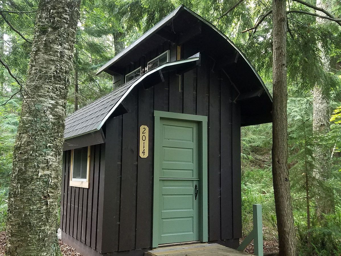 Small black wooden cabin with a green door in a forest