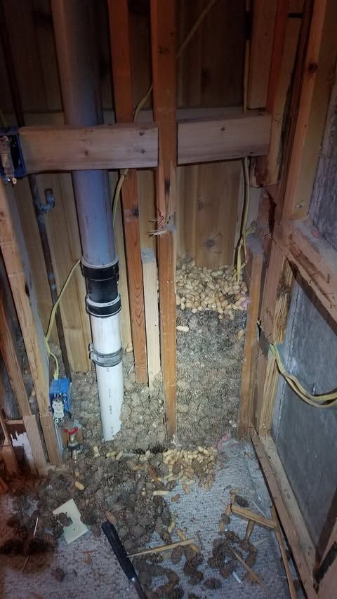 Damaged wall framing with exposed plumbing pipe, insulation debris, and water-damaged wood studs.