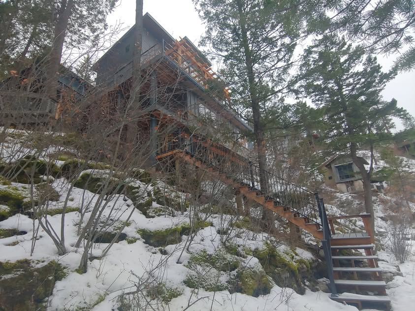 Snowy cabin on a wooded hillside with stone steps and pine trees