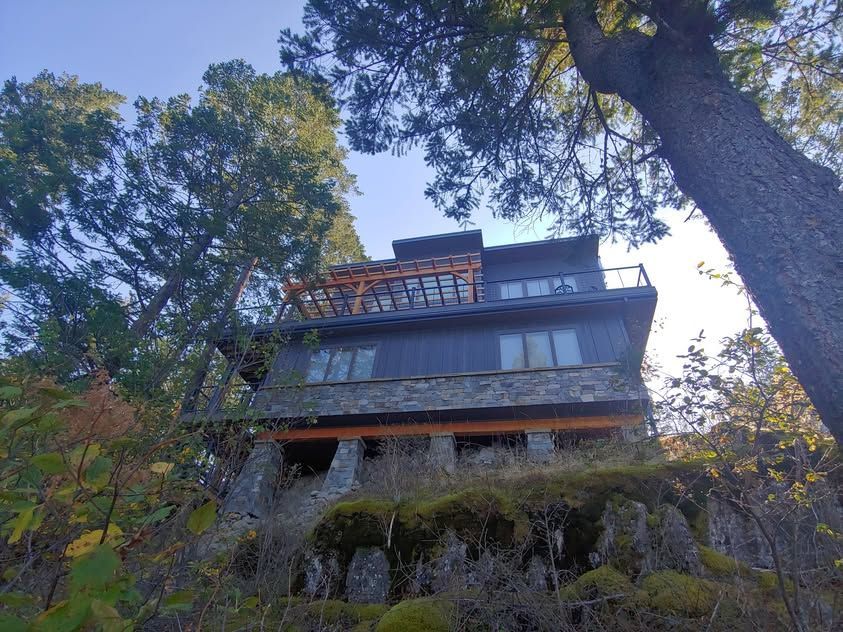 Modern house on a hillside, framed by tall trees and a bright blue sky