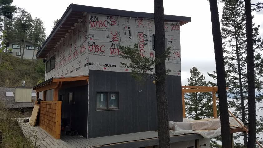 Modern cabin with graffiti-covered upper walls among tall trees on a wooded hillside