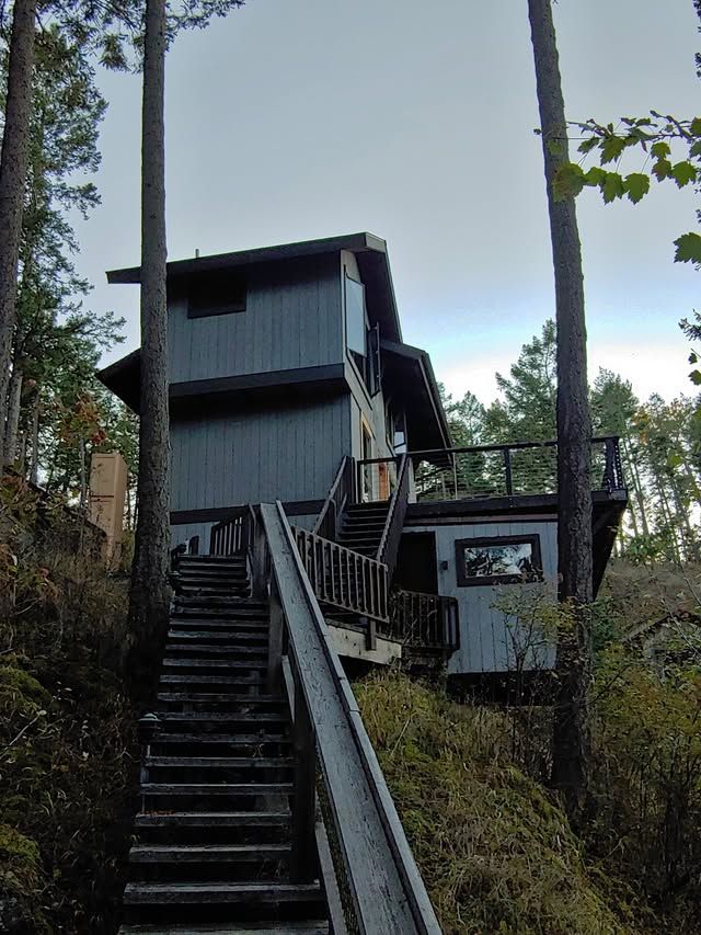 Steep staircase leading to a dark modern cabin among tall trees