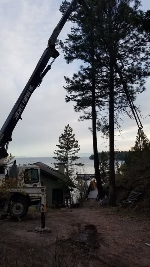 Crane lifting a load beside tall pine trees and a truck at dusk